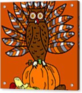 Thanksgiving Owl Acrylic Print
