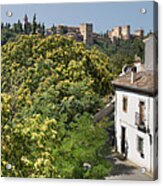 The Alhambra From Sacromonte Granada Acrylic Print