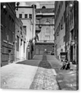 The Alley Acrylic Print