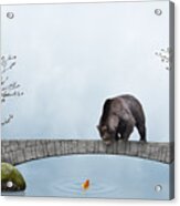 The Bear And The Goldfish Acrylic Print