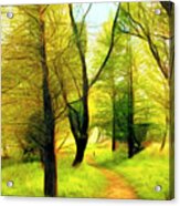 The Beautiful Forest Trail In Abstract In Middle Vertical Tripty Acrylic Print