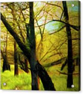 The Beautiful Forest Trail In Abstract In Right Vertical Triptyc Acrylic Print
