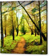 The Beautiful Forest Trail In Abstract In Square Acrylic Print