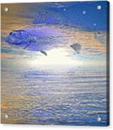 The Blue Fish Acrylic Print