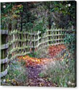 Autumn Colours Ireland #2 Acrylic Print