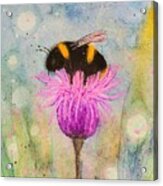 The Bumble Bee Acrylic Print