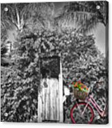 The Charm Of A Garden Gate In Black And White With Selected Colo Acrylic Print