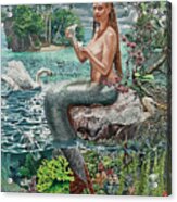 The Curious Mermaid Acrylic Print