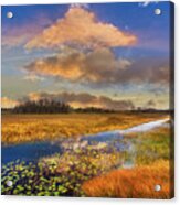 The Everglades Sunset Acrylic Print