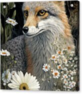 The Fabulous Fox Acrylic Print