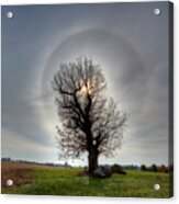 The Famous Stoughton Tornado Oak Tree With Sun Halo Acrylic Print