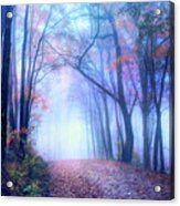 The Ghosts Of Autumn Evening Acrylic Print