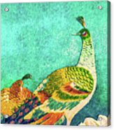 The Handsome Peacock - Kimono Series Acrylic Print