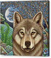 The Kazakh Wolf Moon Acrylic Print