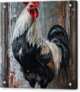 The King Of The Coop Acrylic Print