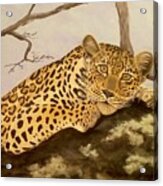 The Leopard Acrylic Print