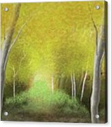 The Light Of Heaven   By Julie Grimshaw 2021 Acrylic Print
