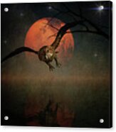 The Owl Goes Hunting In The Night Acrylic Print