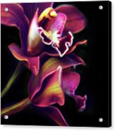 The Painted Orchid Acrylic Print