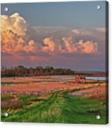 The Path Home - Series - Stensby Farm Homestead In Benson County Nd Acrylic Print
