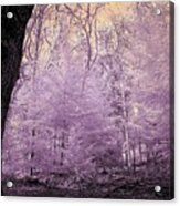 The Pink Woods Acrylic Print