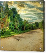 The Road Toward Barranca Acrylic Print