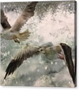 The Seagulls Acrylic Print