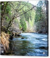 The South Fork Of The Mckenzie River Acrylic Print
