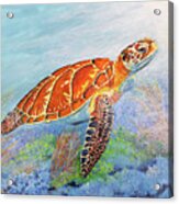 The Tenacious Sea Turtle Acrylic Print