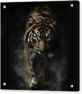 The Tiger Acrylic Print