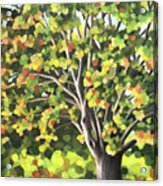 The Tree I See Acrylic Print