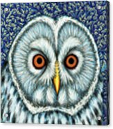 The Ural Owl Tree Acrylic Print