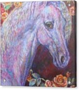 The White Horse Rosie Acrylic Print