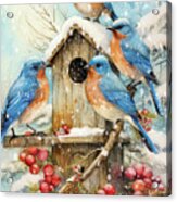 The Winter Bluebirds Acrylic Print