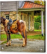 There's My Ride... Acrylic Print