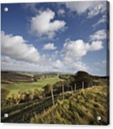 This Green & Pleasant Land. South Wight Landscape Acrylic Print