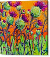 Thistle Flower Field - Colorful Painting Acrylic Print