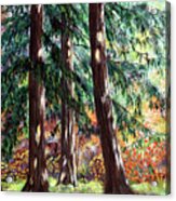 Three Pines On An Autumn Morning Acrylic Print