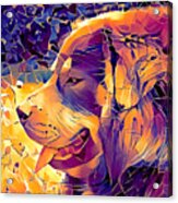 Tibetan Mastiff Dog Sitting Profile With Its Mouth Open - Irregular Tiles Mosaic Effect Acrylic Print