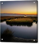 Tom's Cove At Sunset Acrylic Print