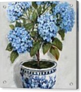 Topiary Hydrangeas In Blue And White Acrylic Print
