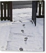 Traces In The Snow Acrylic Print