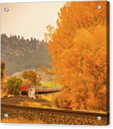 Train In Autumn Acrylic Print