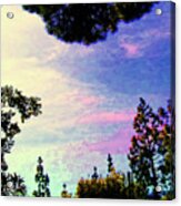 Tree Framed Sky Acrylic Print