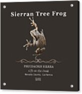 Tree Frog Acrylic Print
