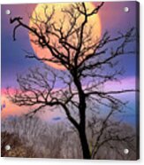 Tree In The Moon Appalachian Trail Acrylic Print