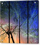 Tree Trippin' Acrylic Print