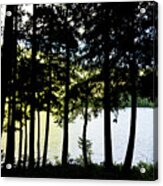 Trees At Alice Lake Acrylic Print
