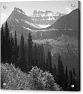 Trees, Bushes And Mountains, Glacier National Park, Montana - National Parks And Monuments, 1941 Acrylic Print