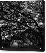 Trees, Hammock, Marshes Of Glynn Acrylic Print